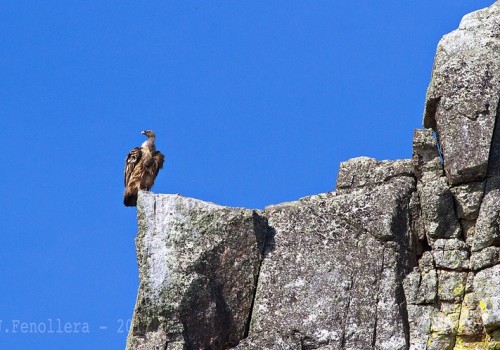Parajes naturales protegidos en Extremadura: una red para conservar y descubrir