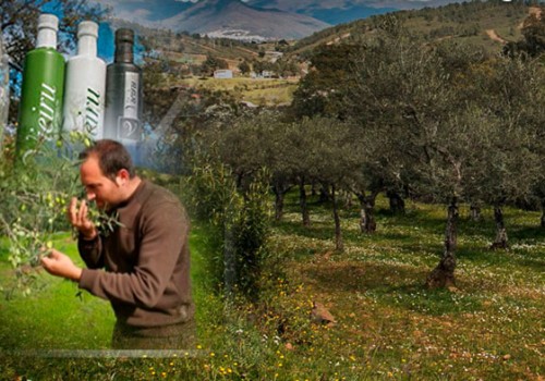 El Mejor Maestro de Molino 2021 es de Sierra de Gata