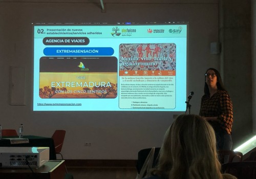 Extremadura, tierra de olivos y experiencias: nuestra adhesión a Oleoturismo España